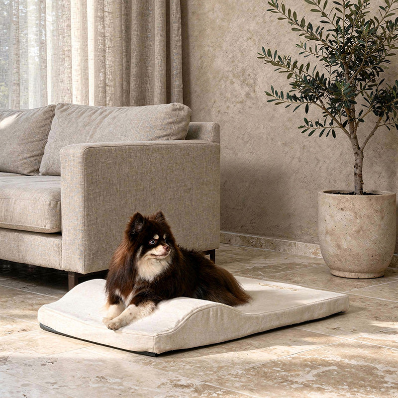 Zenest Ridge™ washable medium orthopedic dog bed in cream, fits 36" crate.
