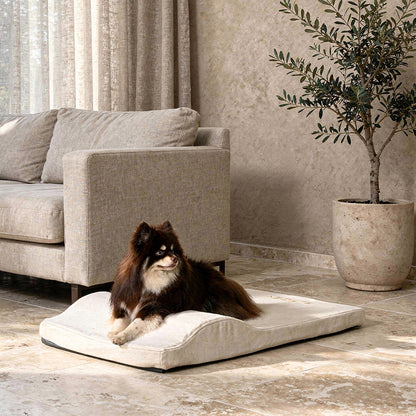 Zenest Ridge™ washable medium orthopedic dog bed in cream, fits 36" crate.